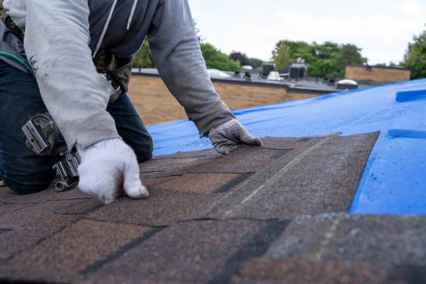 Best Residential Roofing Contractor  in Hercules, CA